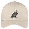 Easy Care Cap Thumbnail