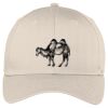 Easy Care Cap Thumbnail