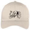 Easy Care Cap Thumbnail