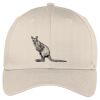Easy Care Cap Thumbnail