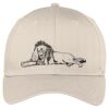 Easy Care Cap Thumbnail