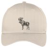 Easy Care Cap Thumbnail