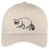 Easy Care Cap Thumbnail