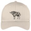 Easy Care Cap Thumbnail
