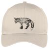 Easy Care Cap Thumbnail