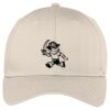 Easy Care Cap Thumbnail