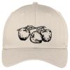 Easy Care Cap Thumbnail