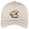 Easy Care Cap Thumbnail
