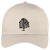 Easy Care Cap Thumbnail