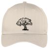 Easy Care Cap Thumbnail