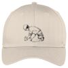 Easy Care Cap Thumbnail
