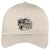 Easy Care Cap Thumbnail
