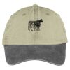 Two Tone Pigment Dyed Cap Thumbnail