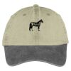 Two Tone Pigment Dyed Cap Thumbnail