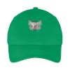 Youth Six Panel Twill Cap Thumbnail