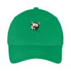 Youth Six Panel Twill Cap Thumbnail